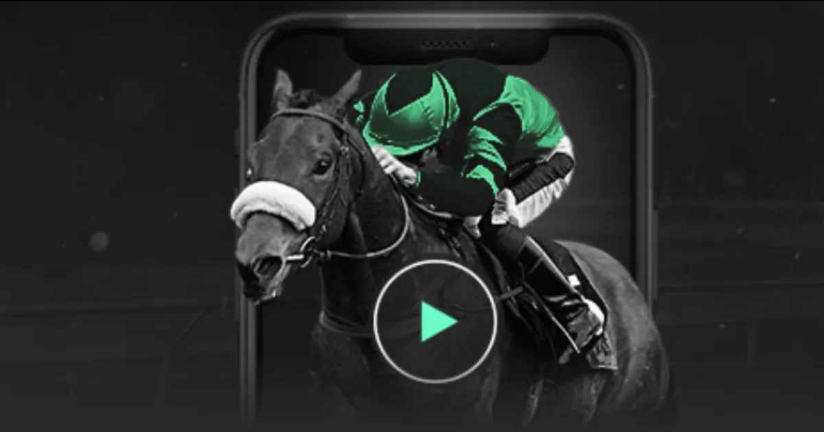 刘英,校园篮球界,璀璨明星,金年会首页,金年会平台,金年会娱乐,金年会官网