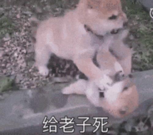 万智牌诉讼,撤回,孩之宝股东,金年会首页,金年会平台,金年会娱乐,金年会官网