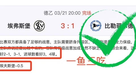 【2023中超赛季璀璨星光】法比奥与瓦科领衔，国内三将荣登榜单，最佳阵容阵容揭晓！